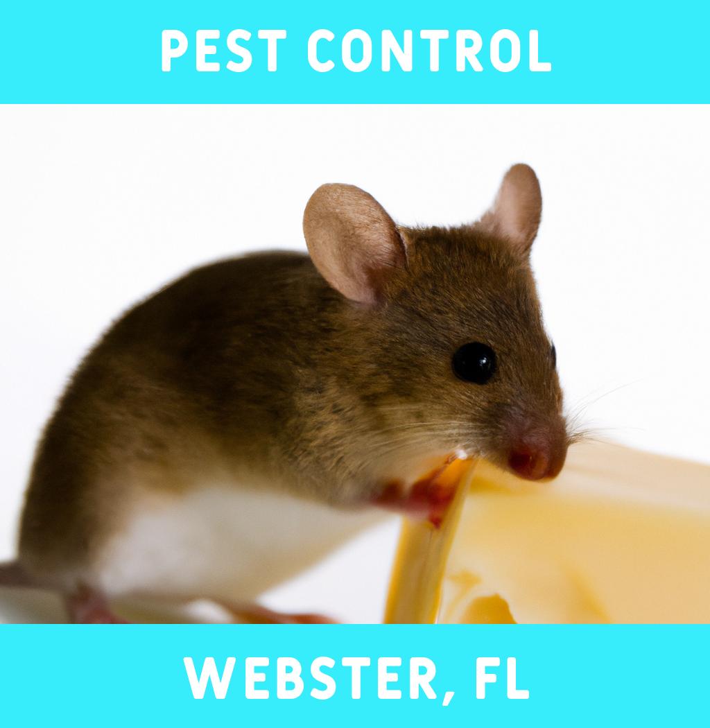 pest control in Webster Florida