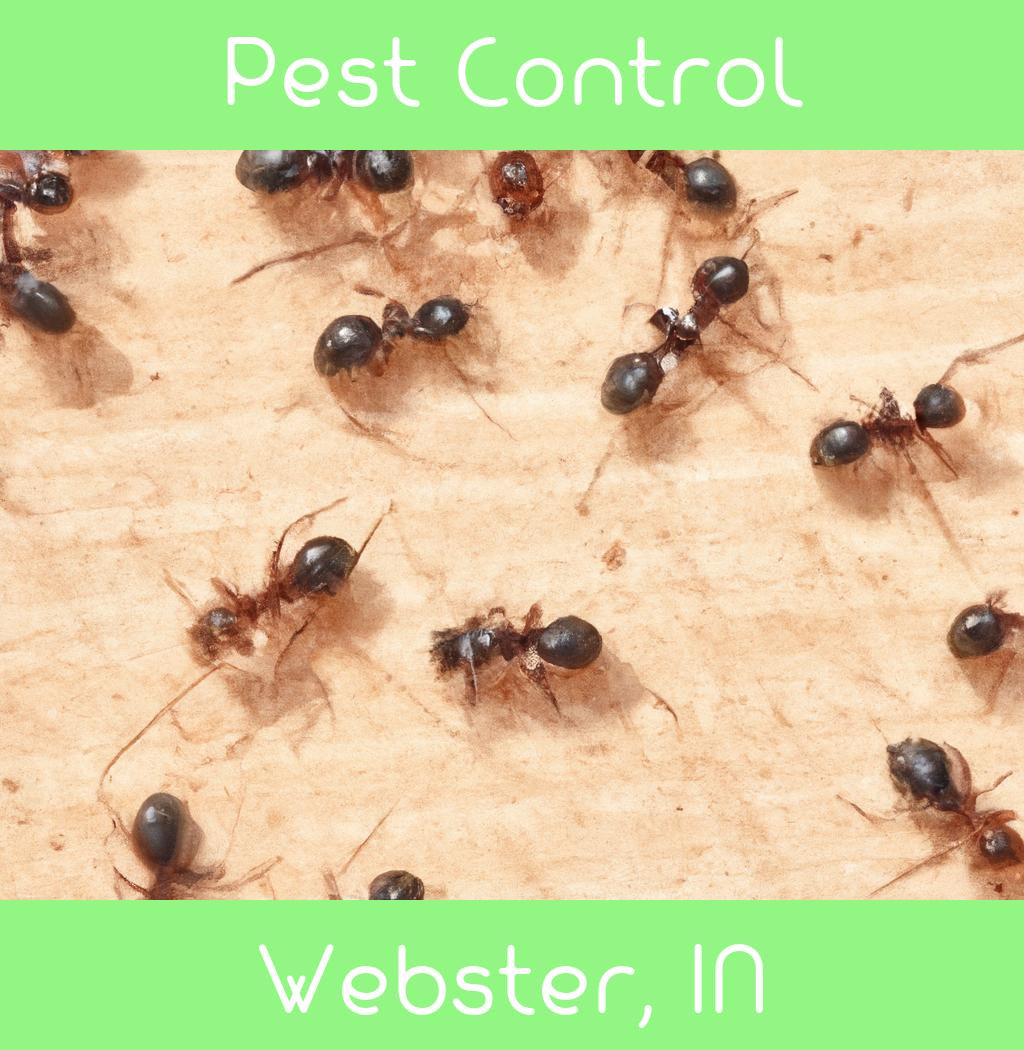 pest control in Webster Indiana