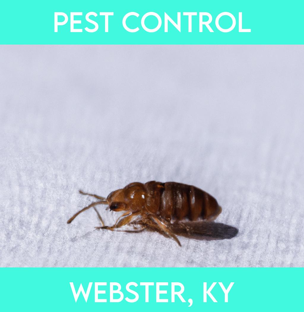 pest control in Webster Kentucky