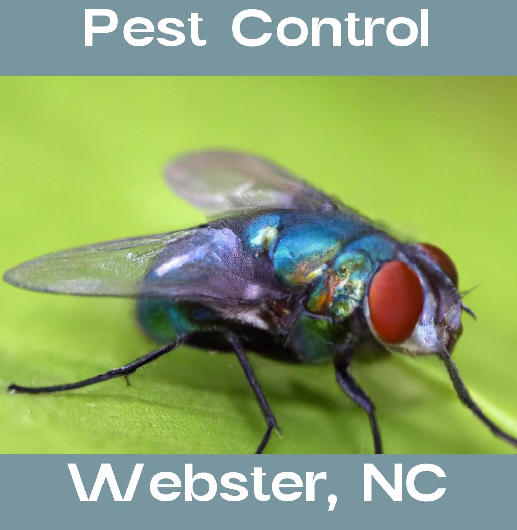 pest control in Webster North Carolina