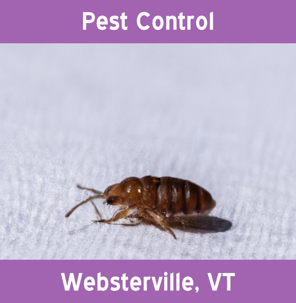 pest control in Websterville Vermont