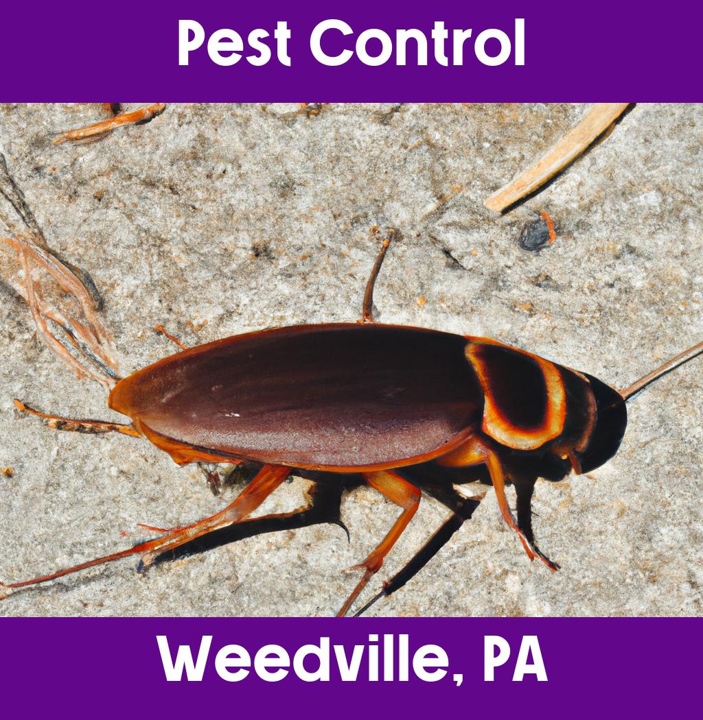 pest control in Weedville Pennsylvania