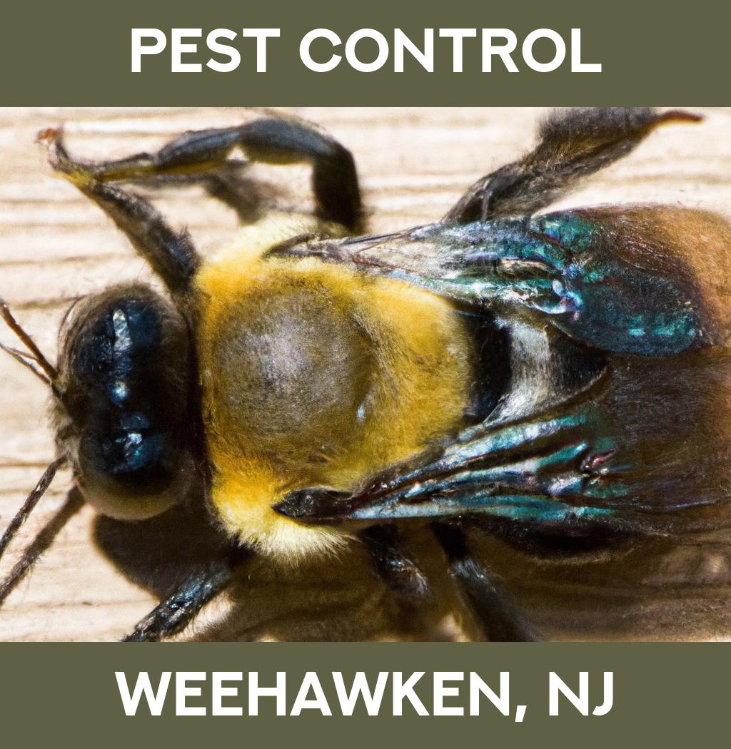 pest control in Weehawken New Jersey