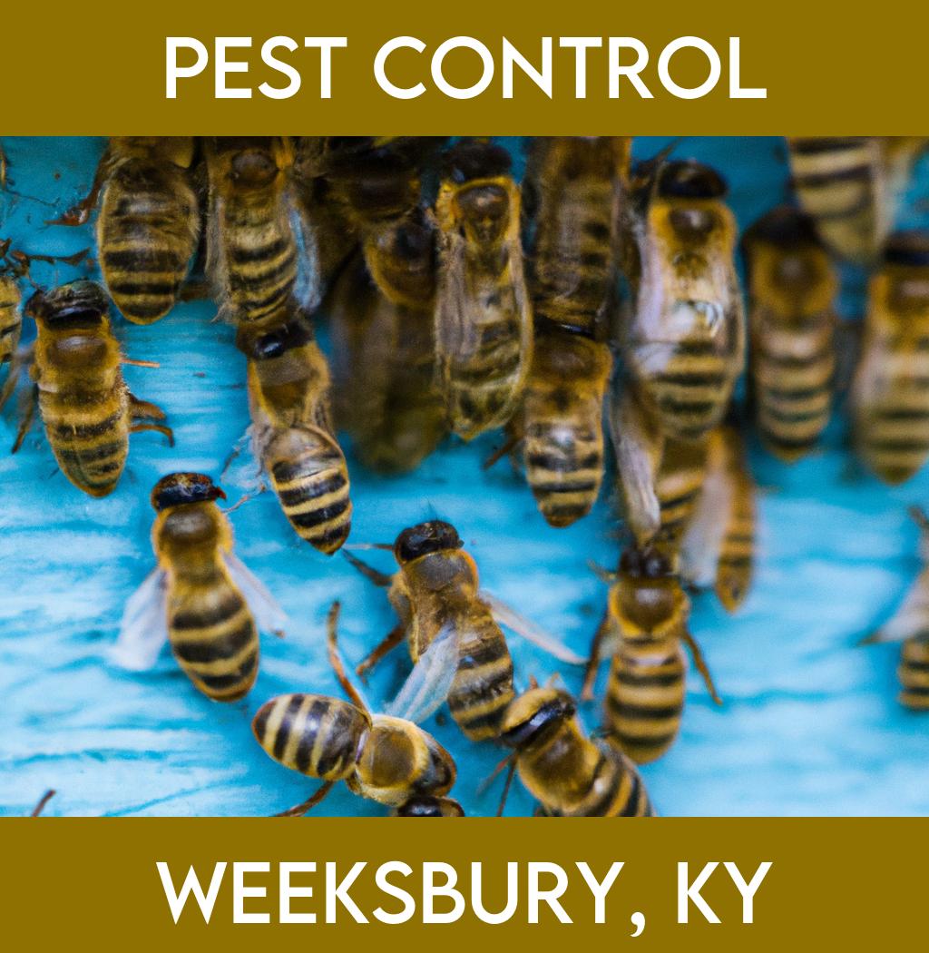 pest control in Weeksbury Kentucky