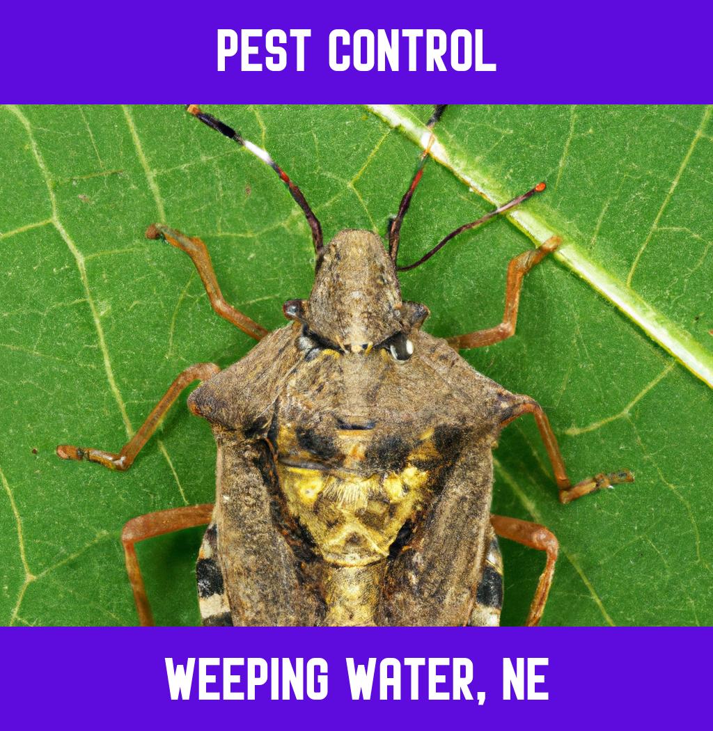 pest control in Weeping Water Nebraska