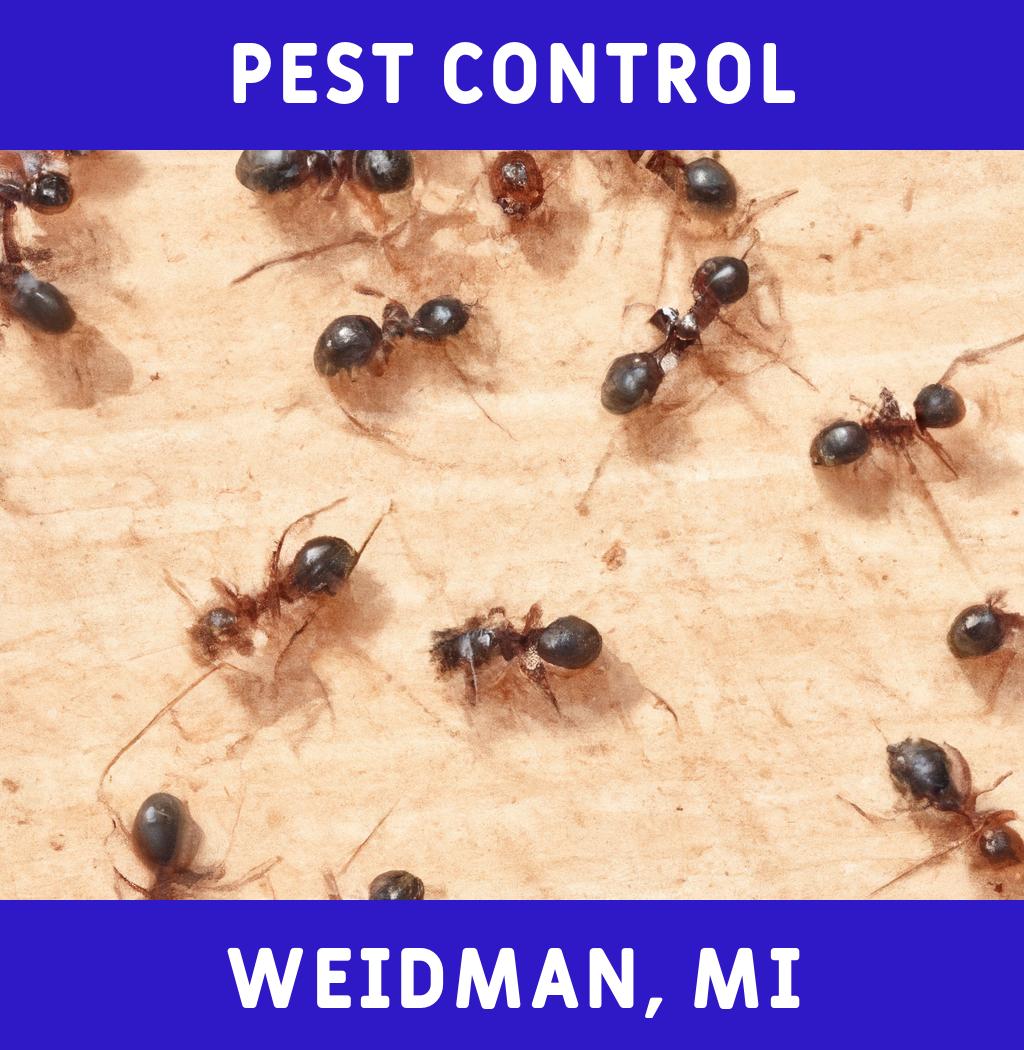 pest control in Weidman Michigan