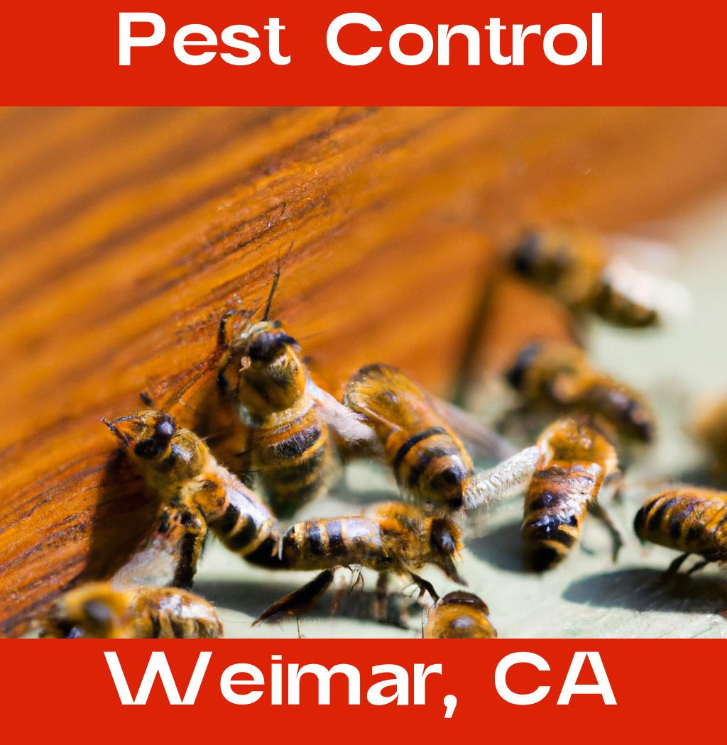 pest control in Weimar California