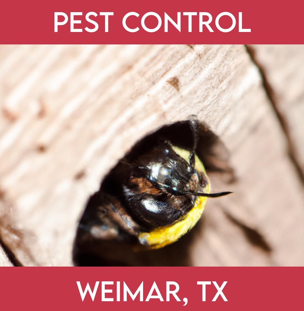 pest control in Weimar Texas