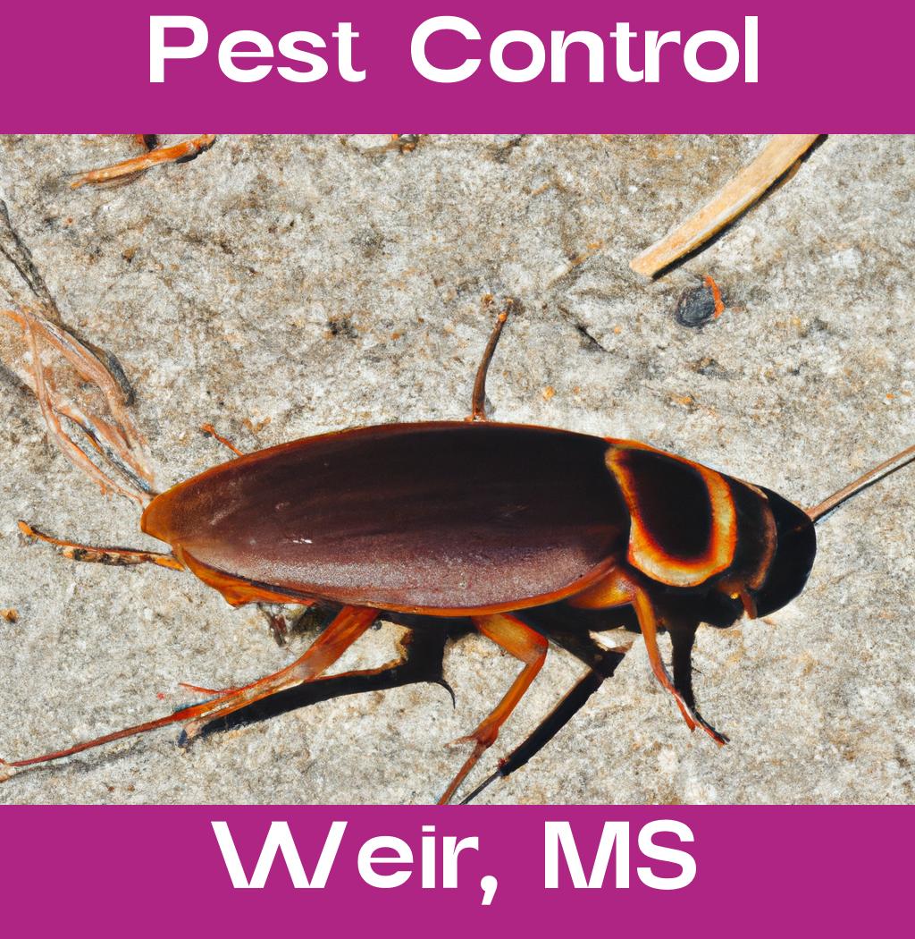 pest control in Weir Mississippi