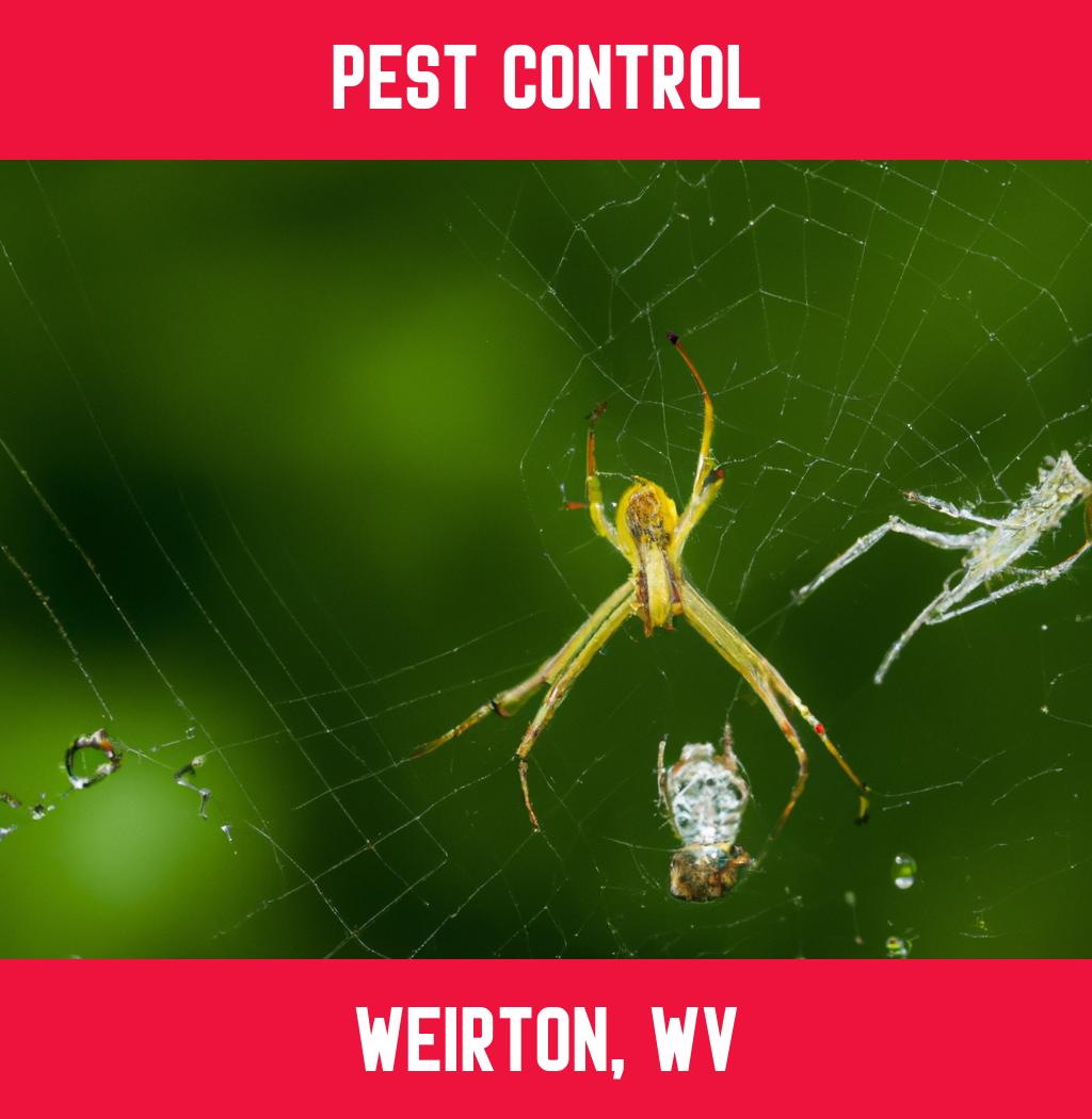pest control in Weirton West Virginia