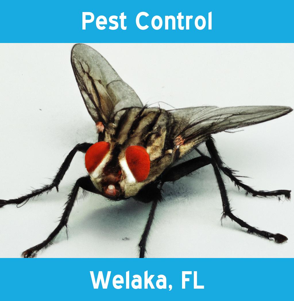 pest control in Welaka Florida