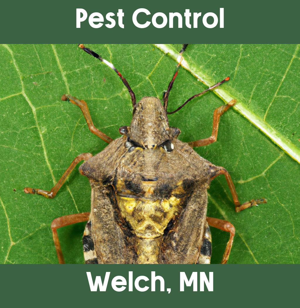 pest control in Welch Minnesota