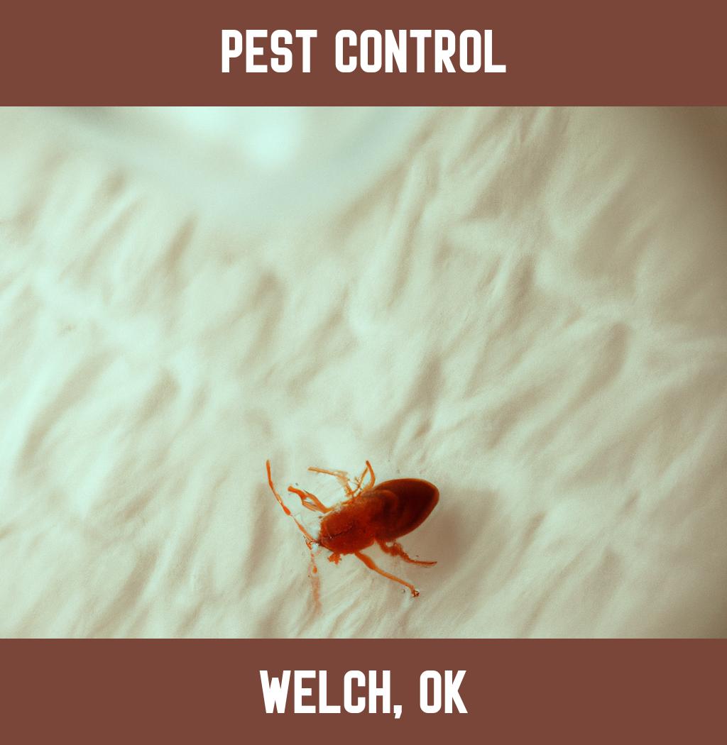 pest control in Welch Oklahoma