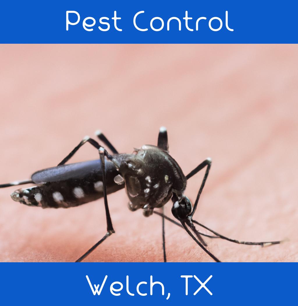 pest control in Welch Texas