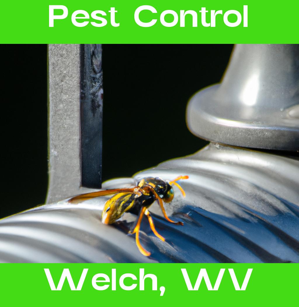 pest control in Welch West Virginia