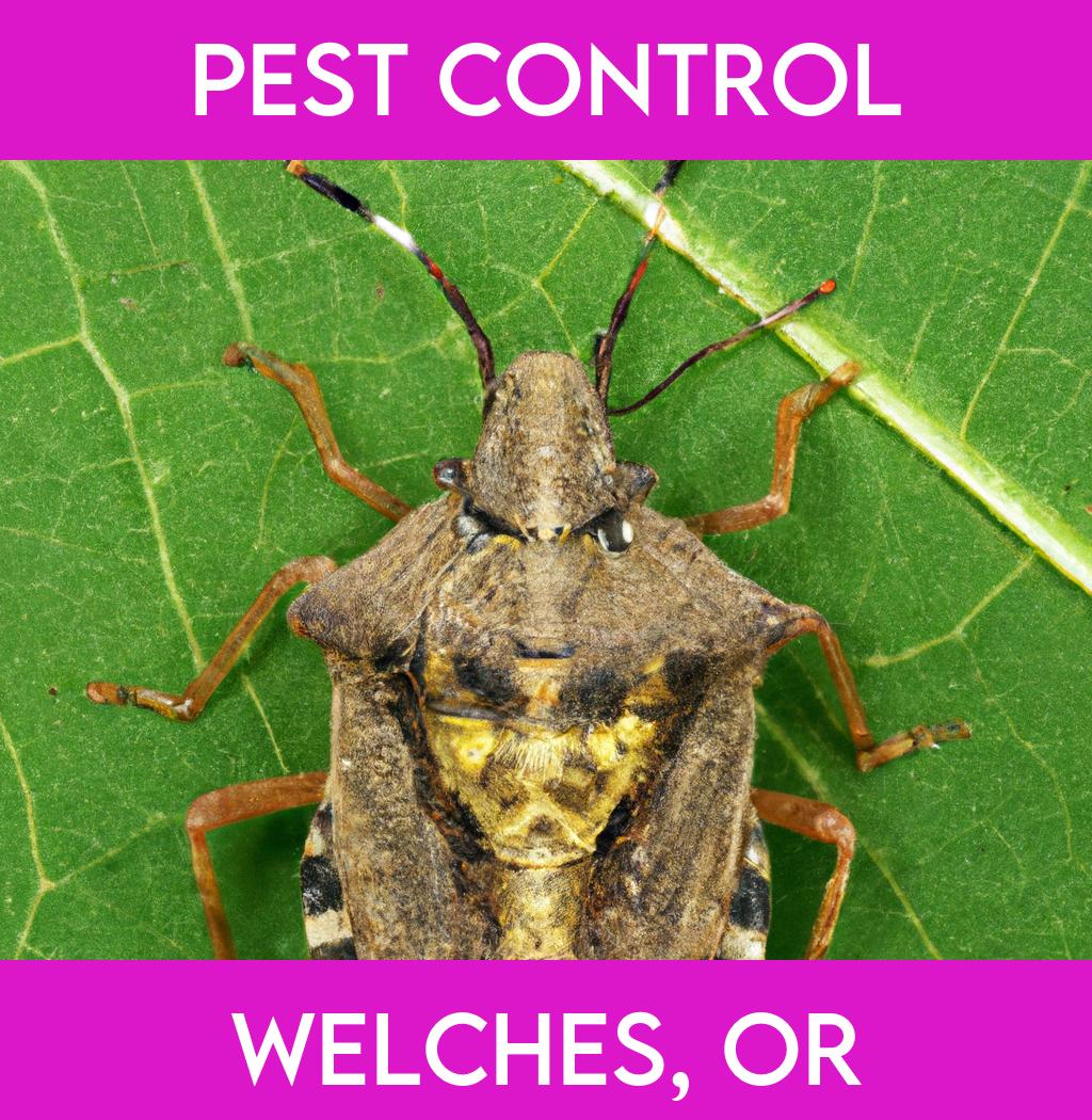 pest control in Welches Oregon