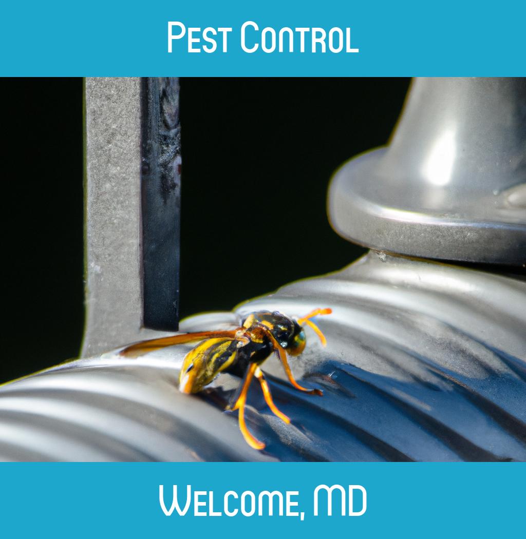 pest control in Welcome Maryland