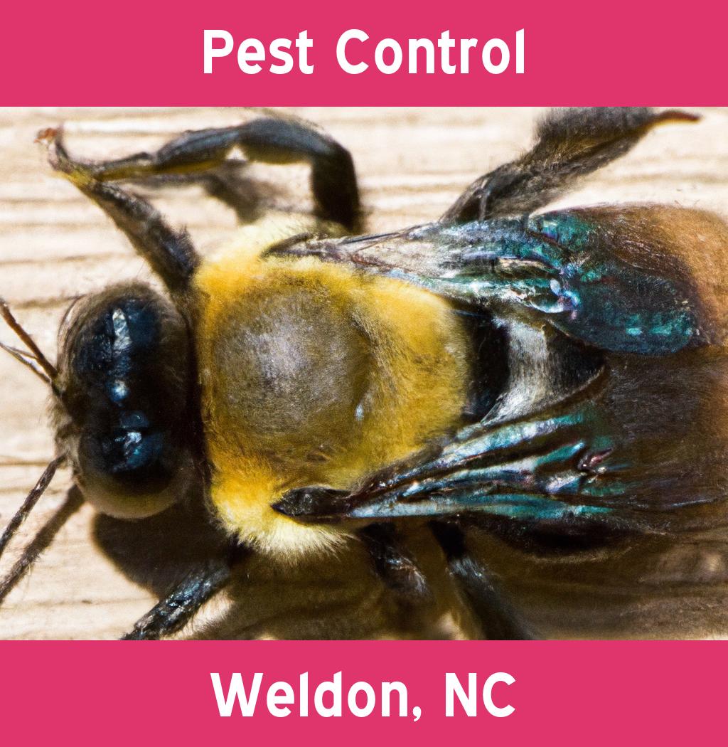 pest control in Weldon North Carolina