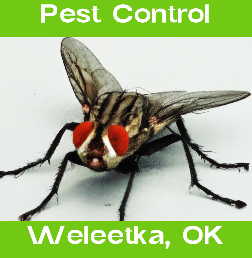 pest control in Weleetka Oklahoma