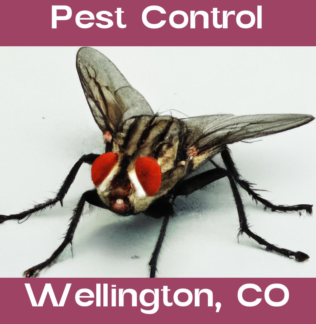 pest control in Wellington Colorado