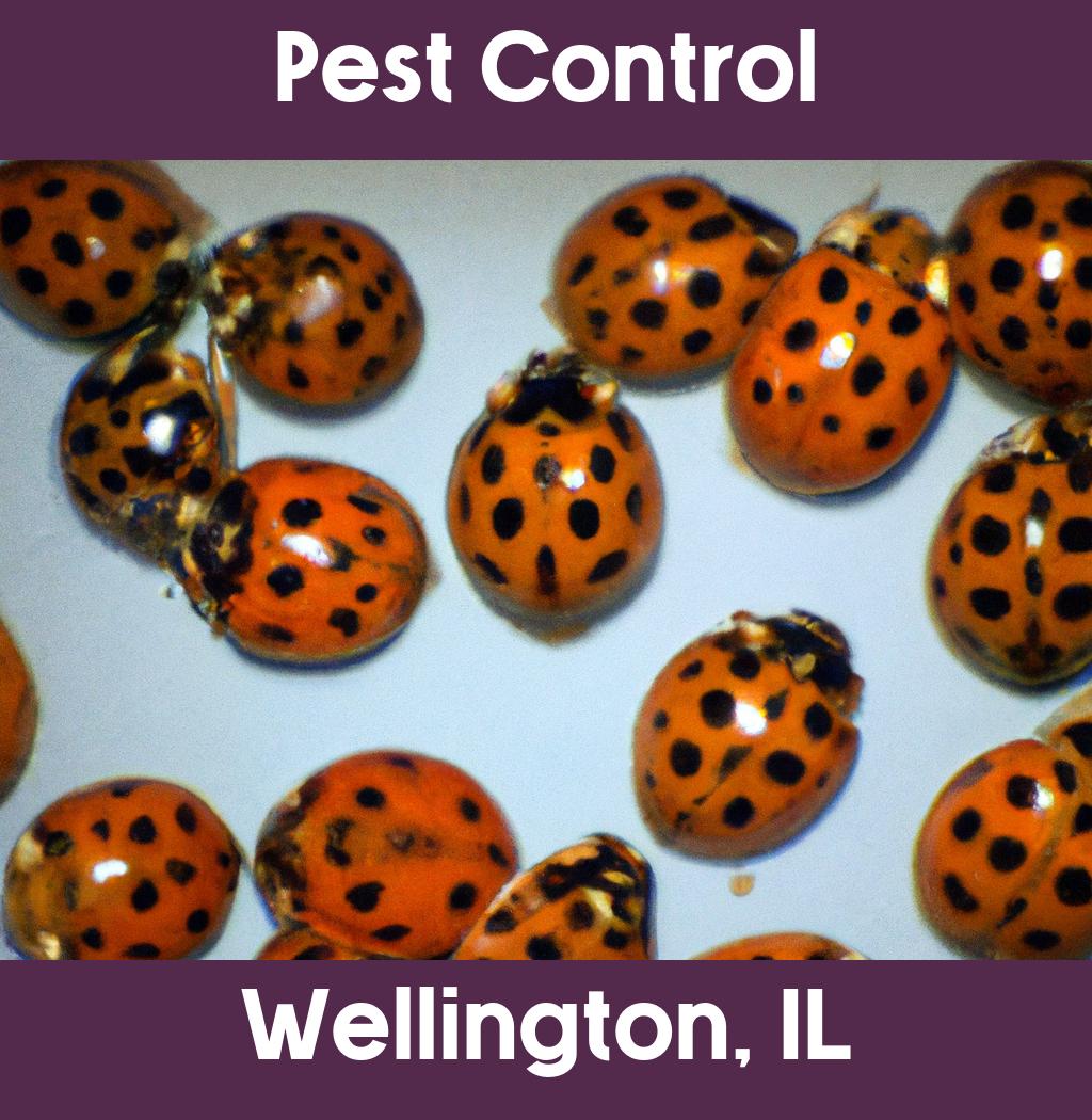 pest control in Wellington Illinois