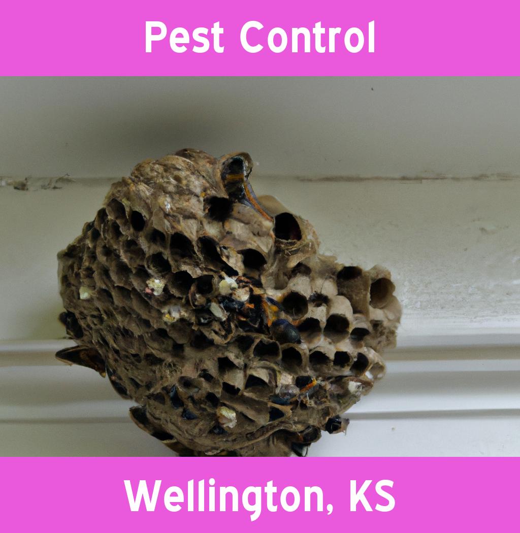 pest control in Wellington Kansas