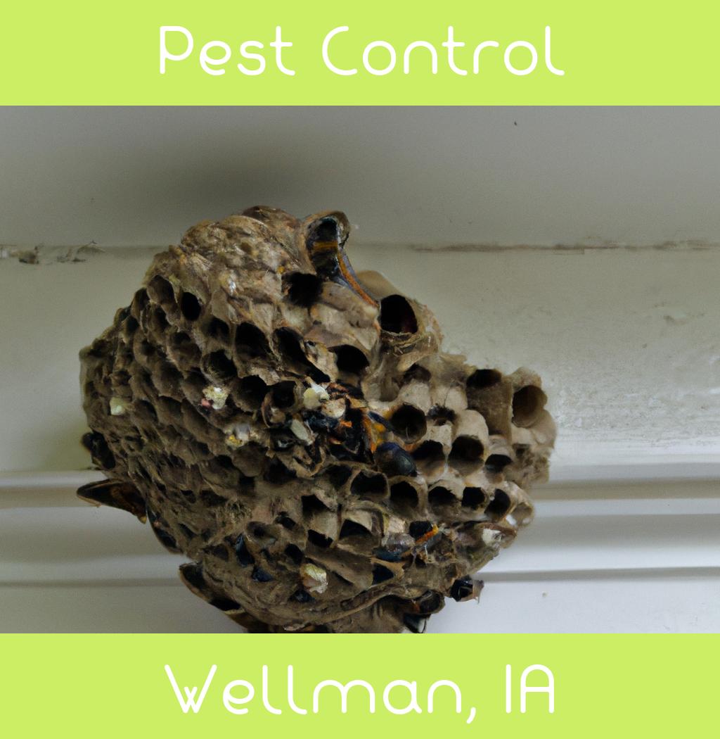 pest control in Wellman Iowa