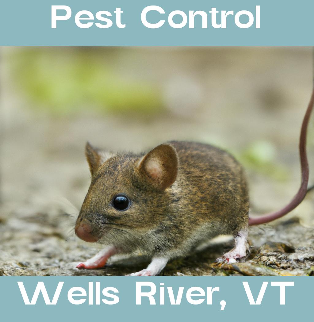 pest control in Wells River Vermont