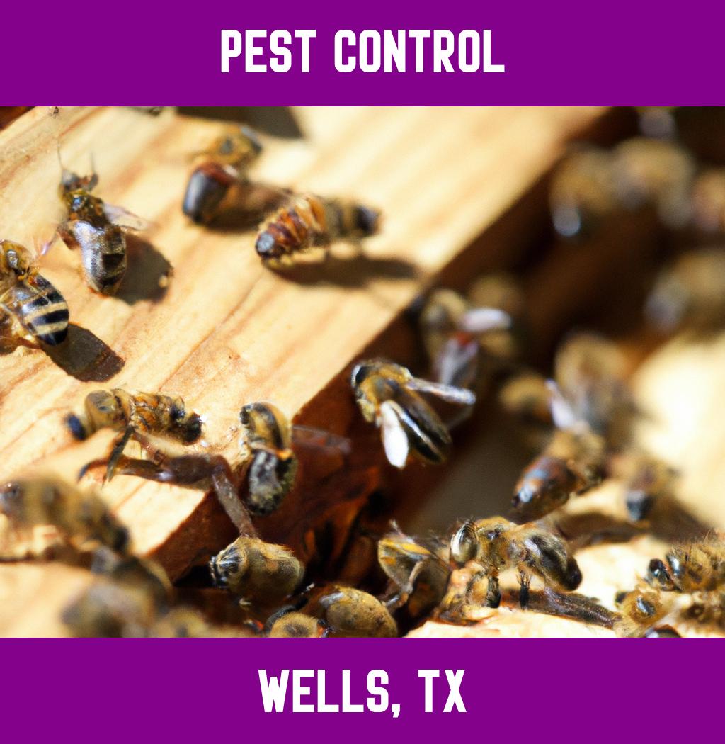 pest control in Wells Texas
