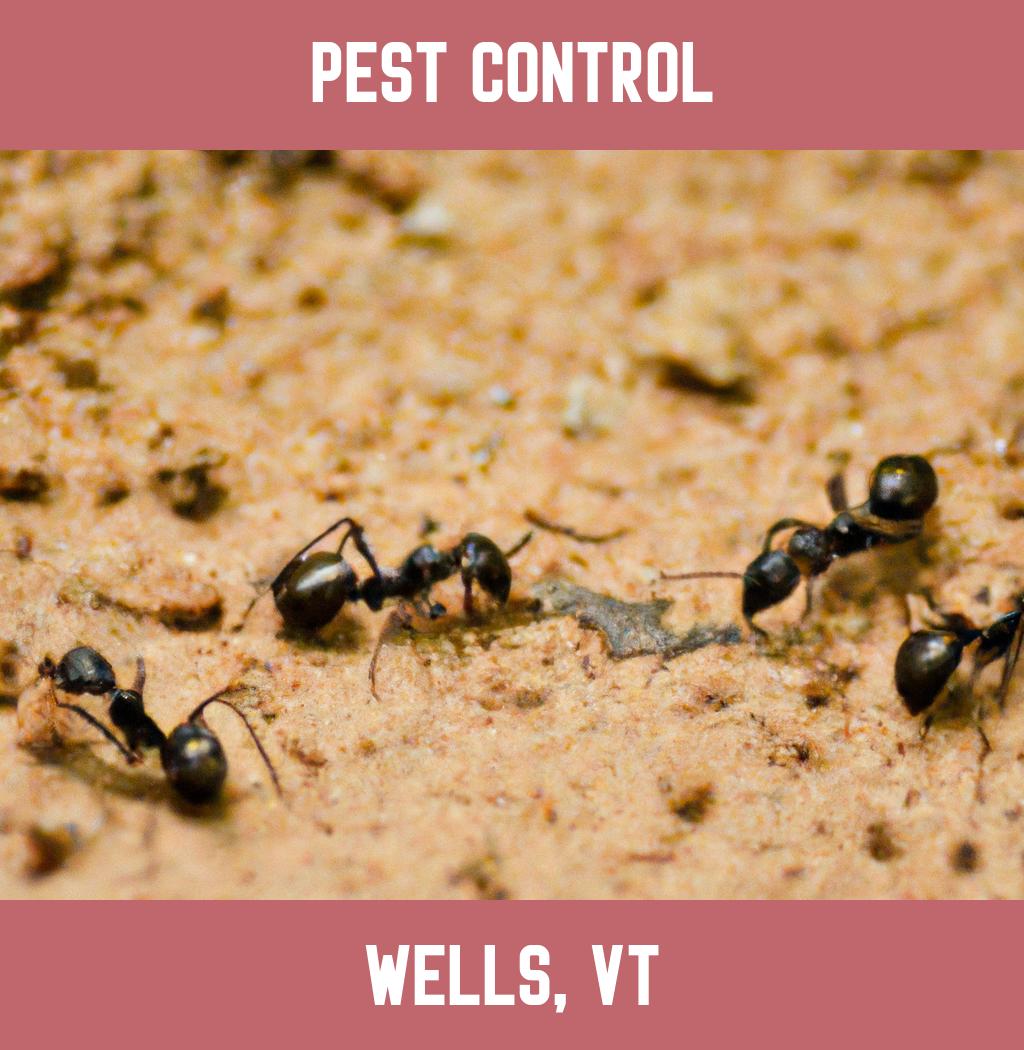 pest control in Wells Vermont