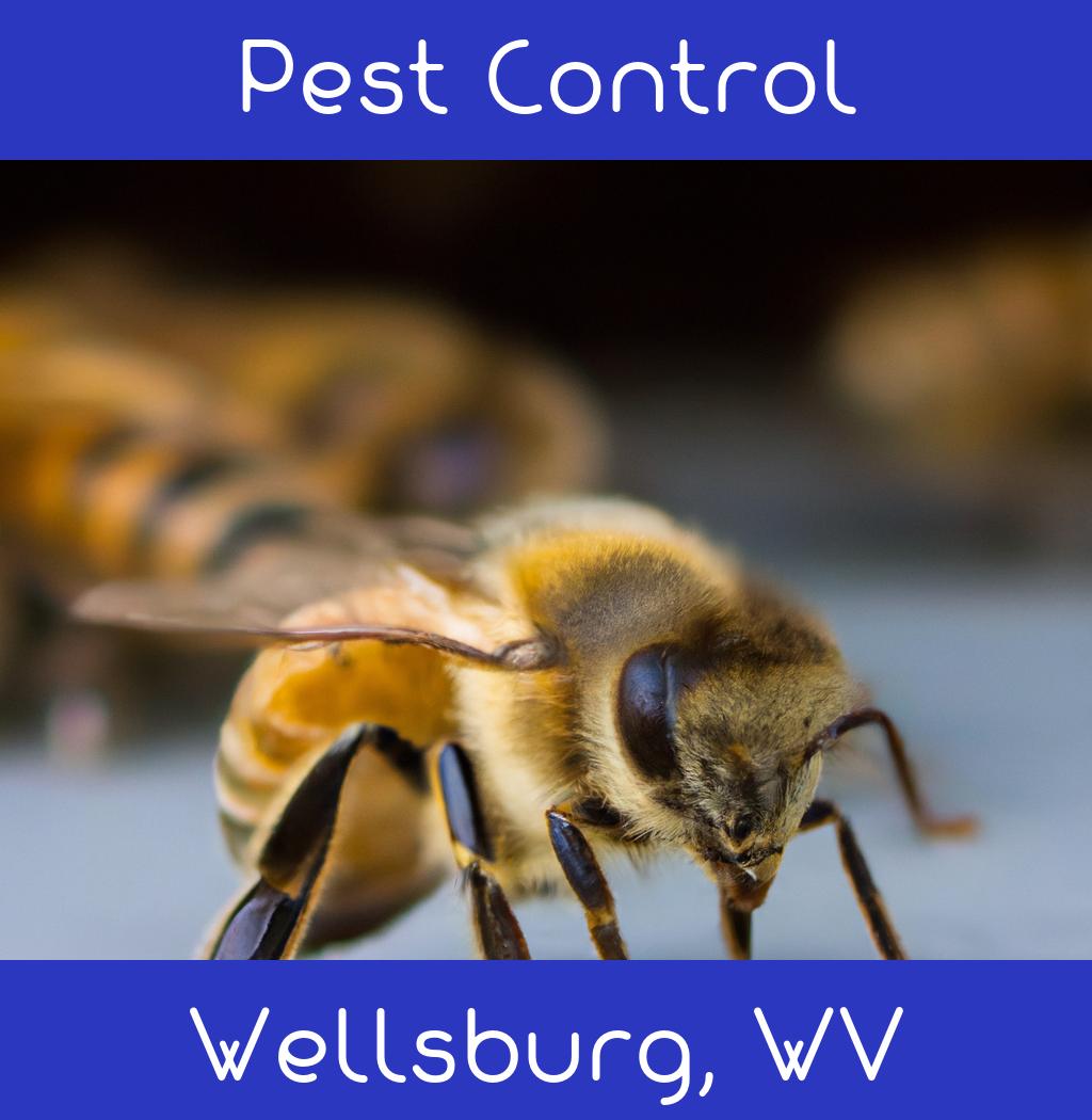 pest control in Wellsburg West Virginia