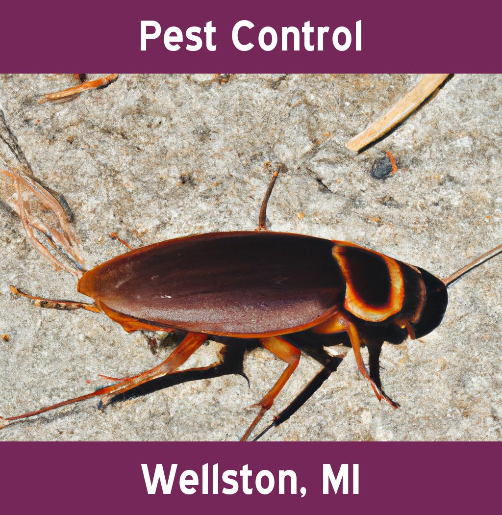 pest control in Wellston Michigan