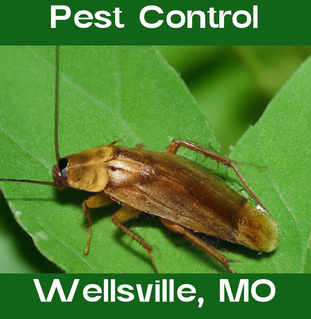 pest control in Wellsville Missouri