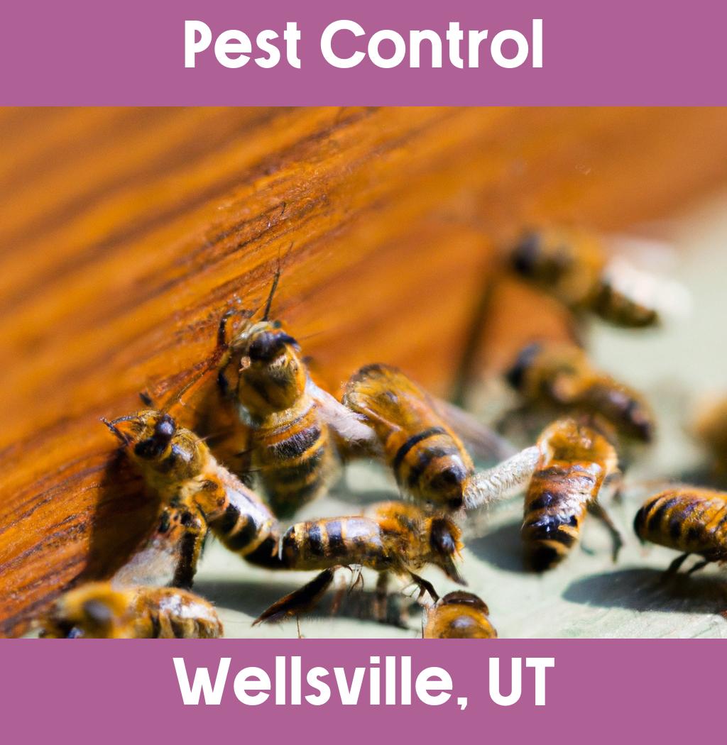 pest control in Wellsville Utah