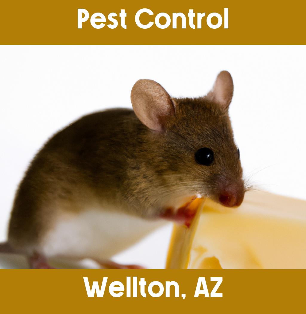 pest control in Wellton Arizona