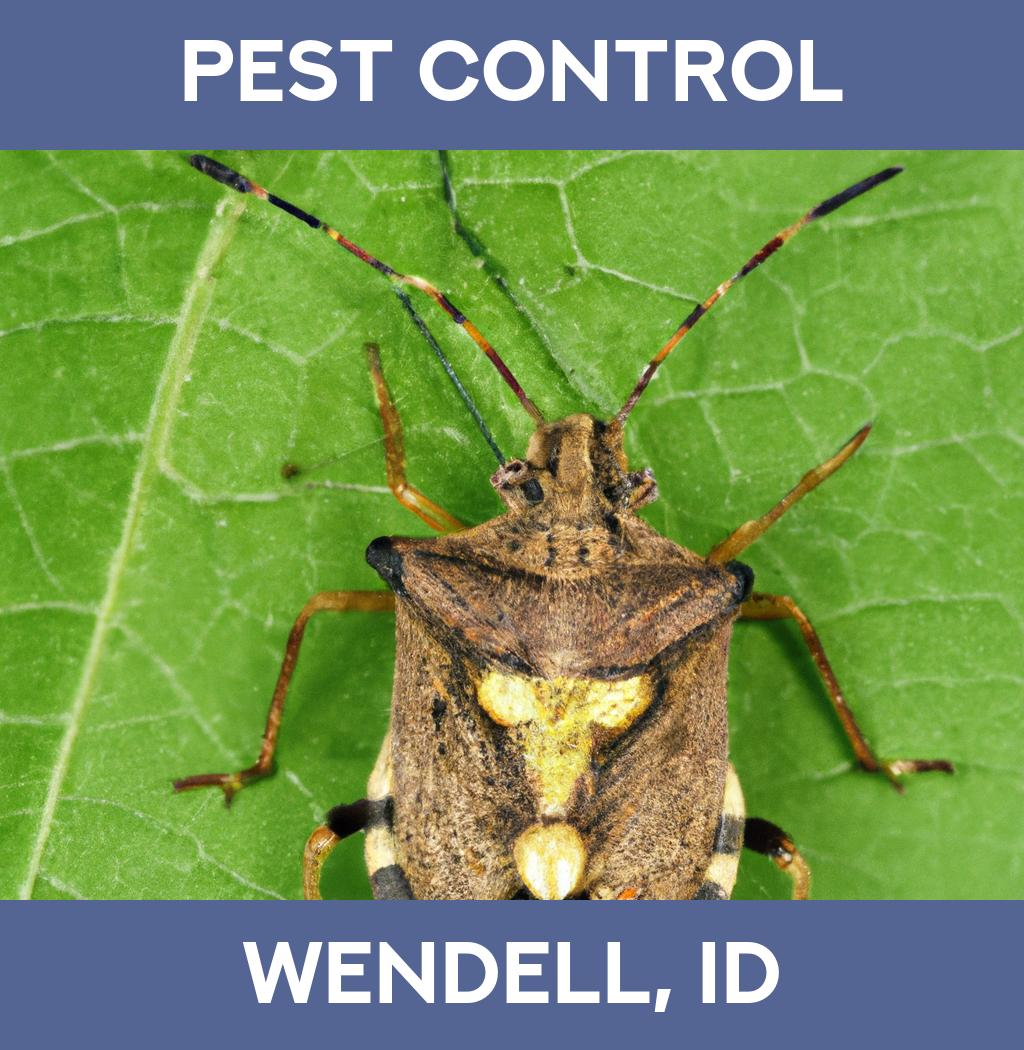 pest control in Wendell Idaho