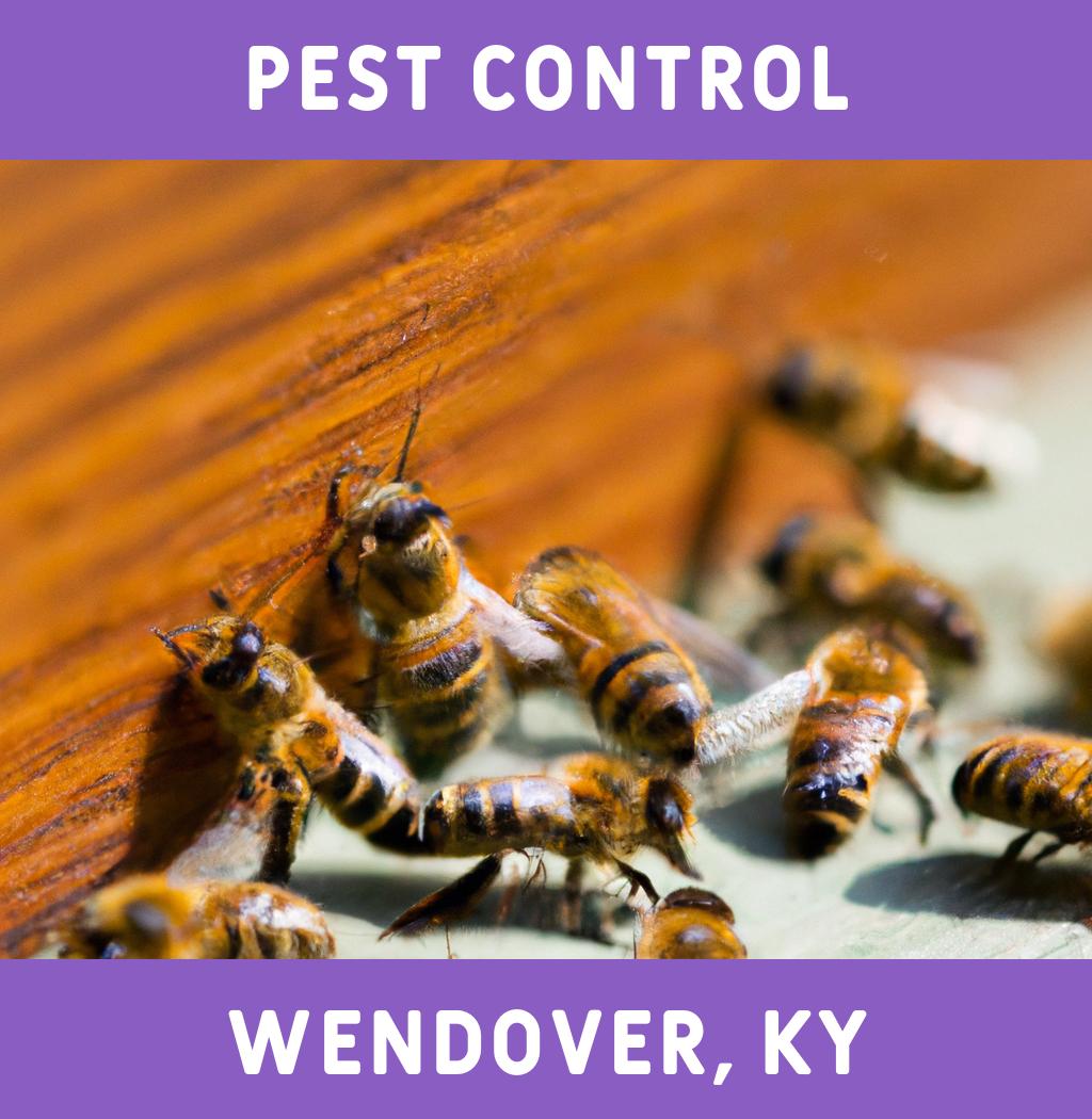 pest control in Wendover Kentucky