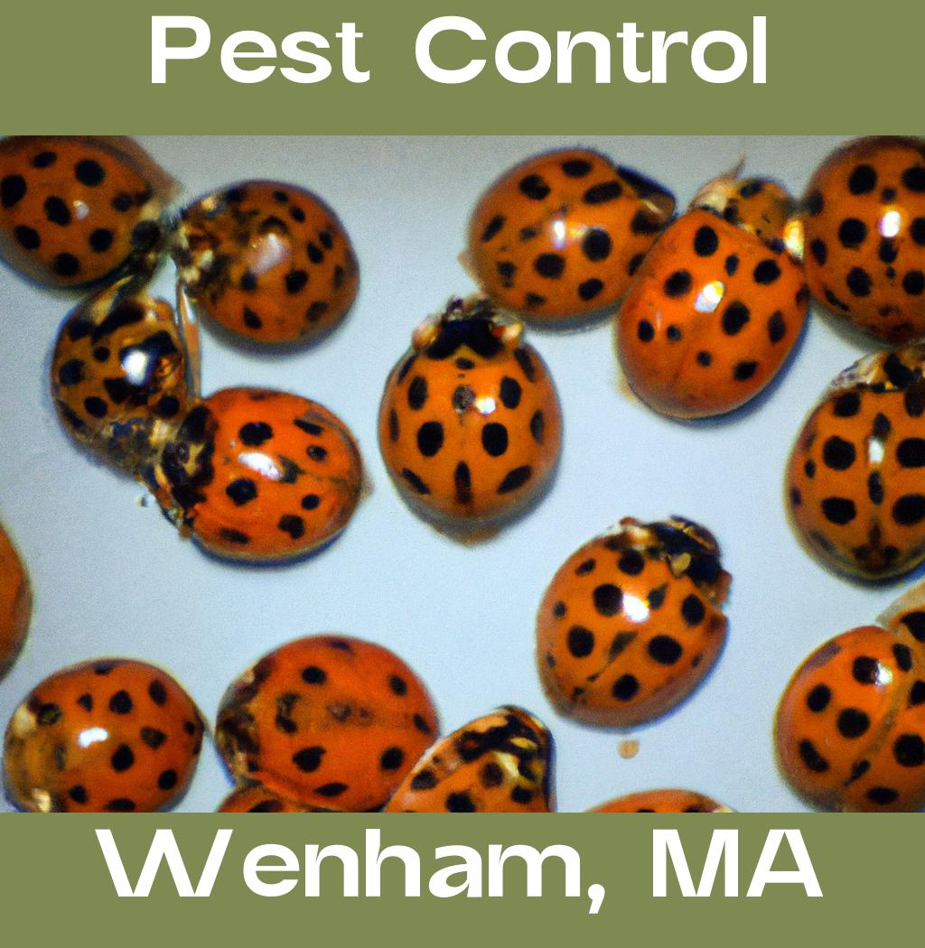 pest control in Wenham Massachusetts