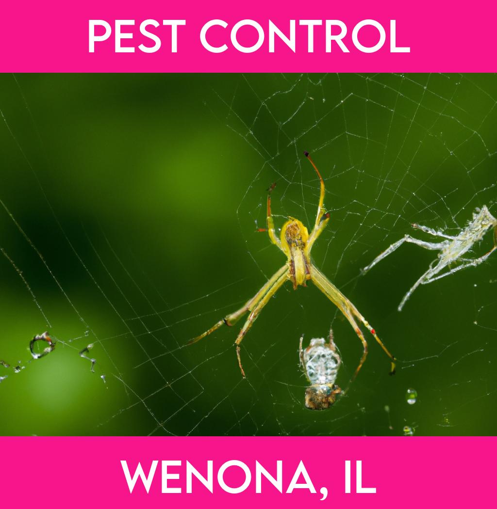 pest control in Wenona Illinois