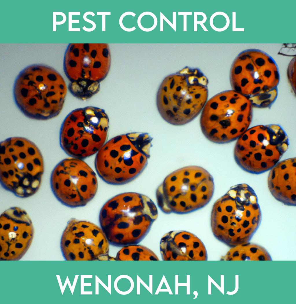 pest control in Wenonah New Jersey