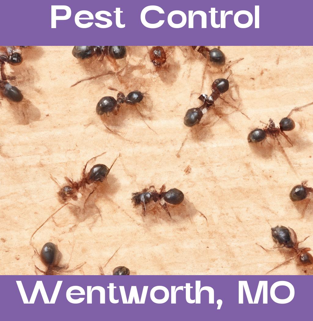 pest control in Wentworth Missouri