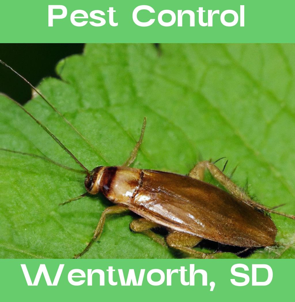 pest control in Wentworth South Dakota