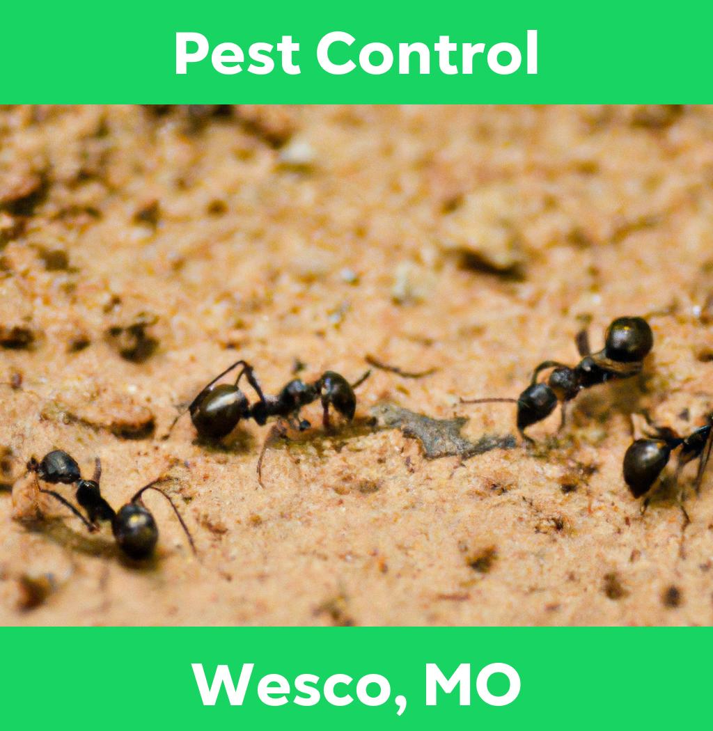 pest control in Wesco Missouri