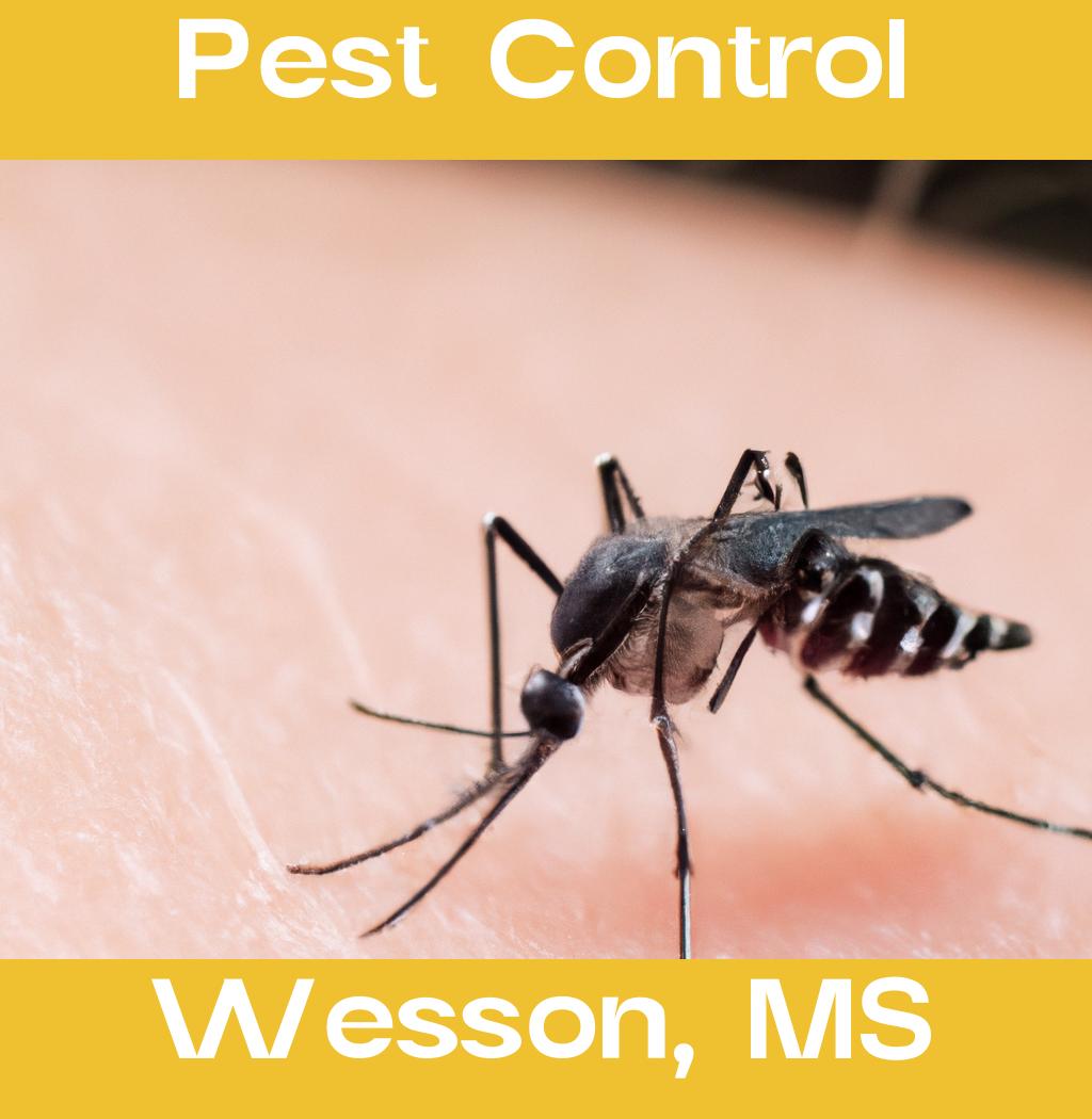 pest control in Wesson Mississippi