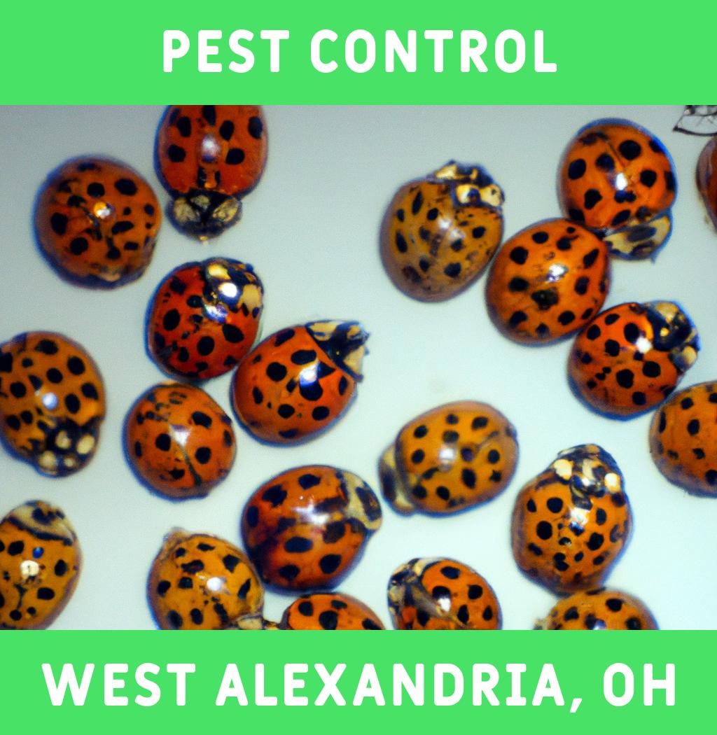 pest control in West Alexandria Ohio