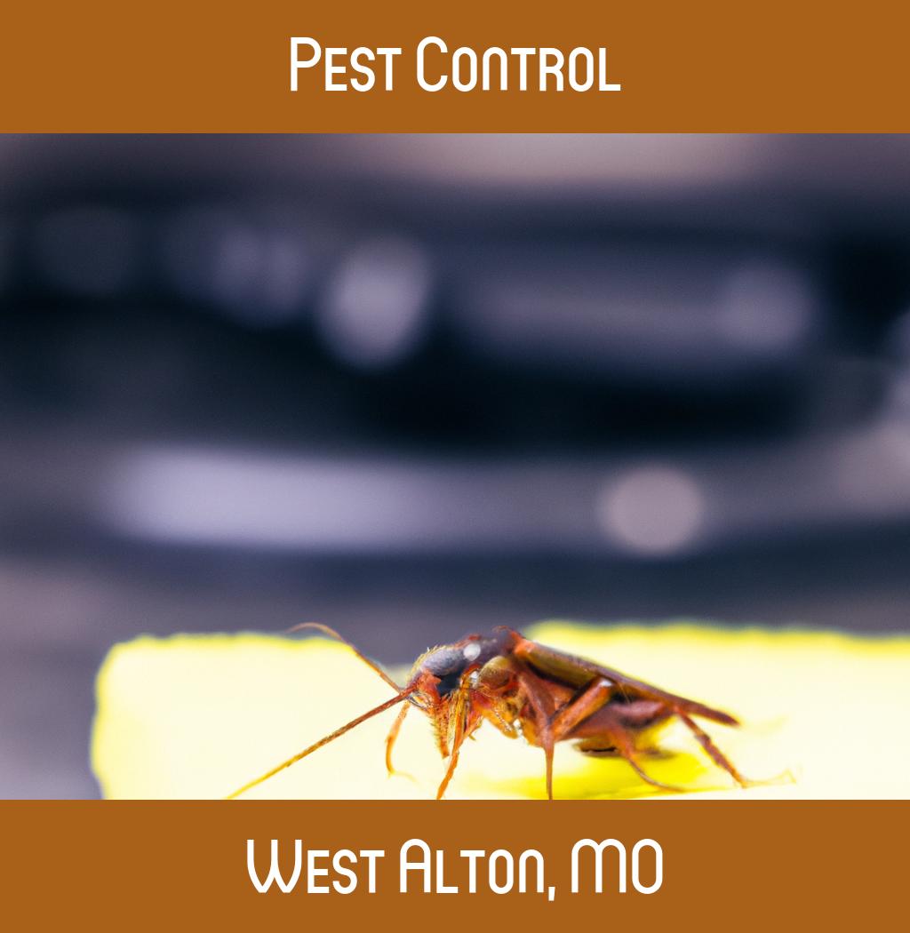 pest control in West Alton Missouri