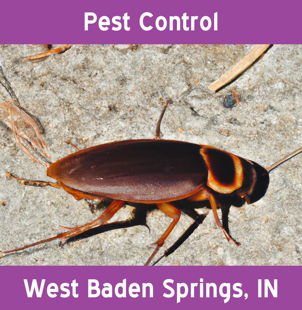 pest control in West Baden Springs Indiana