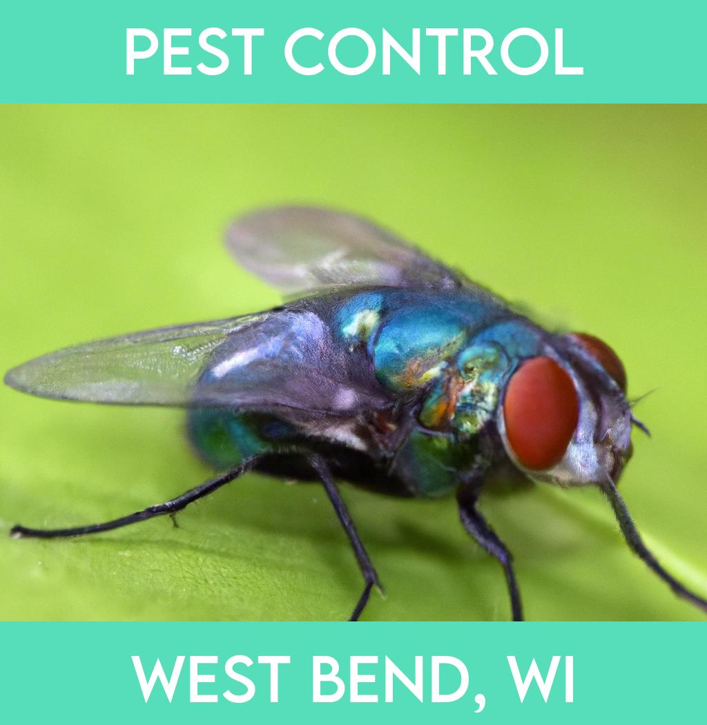 pest control in West Bend Wisconsin