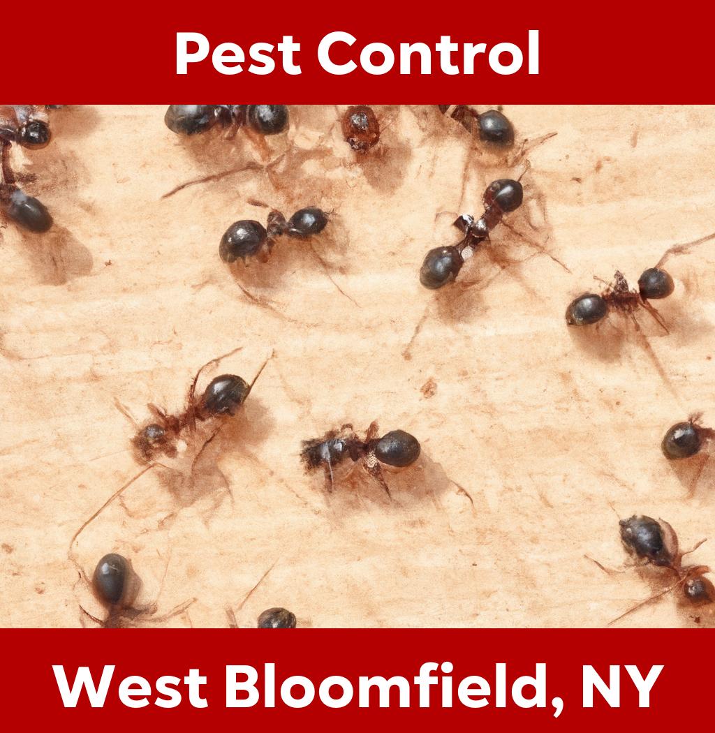 pest control in West Bloomfield New York