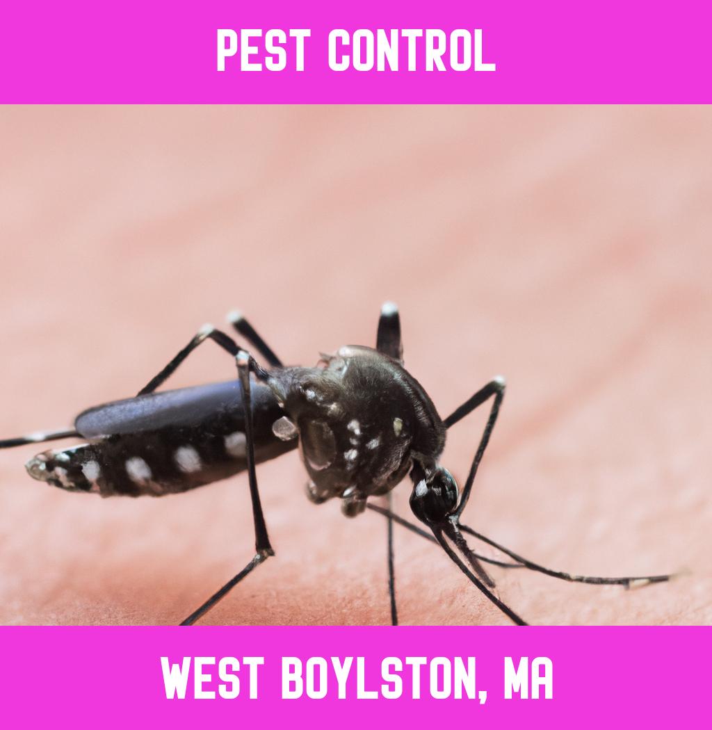 pest control in West Boylston Massachusetts